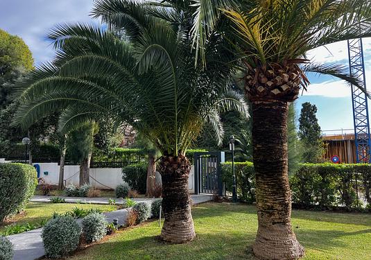 Apartment in Portals Nous