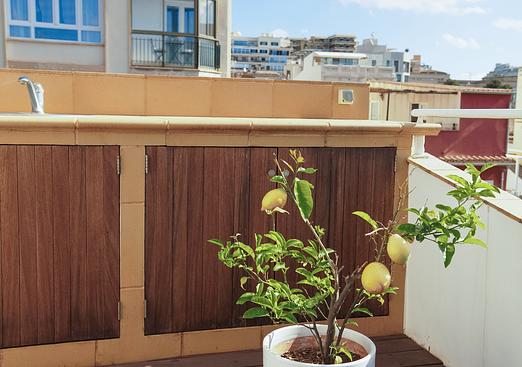 Town house in Santa Catalina