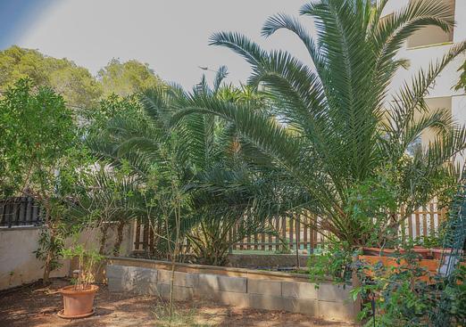 Apartment in Santa Ponsa