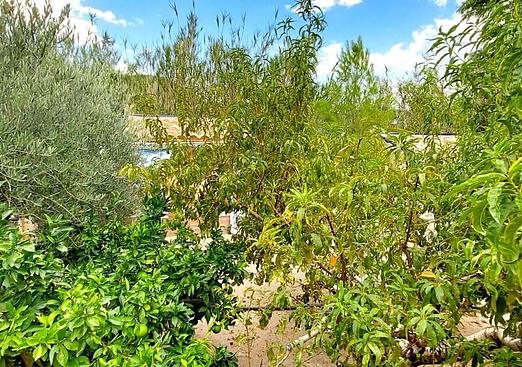 Villa in Murcia