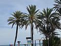 Apartment in Orihuela Costa