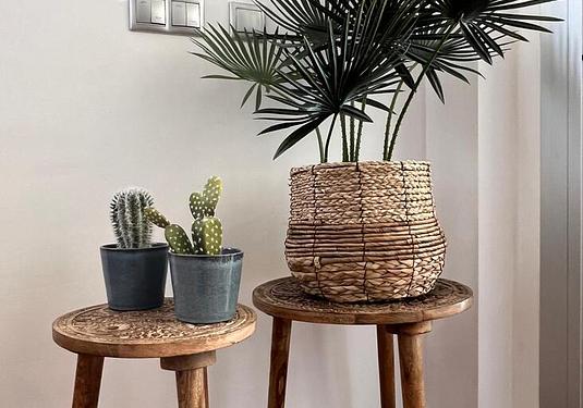 Apartment in Torrevieja