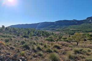 thumb 9