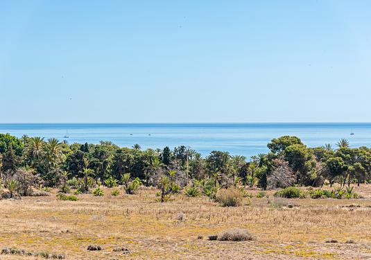 Apartment in Punta Prima