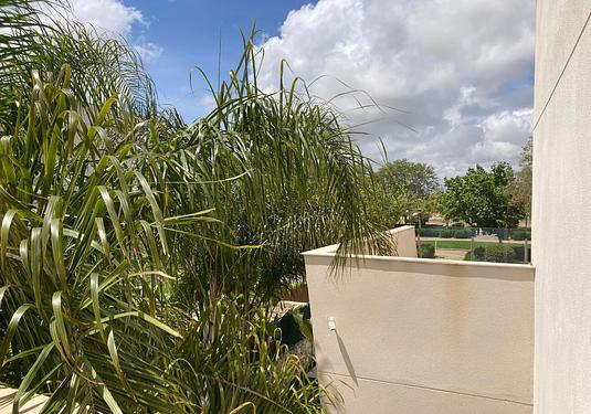 Semi detached in Pilar de La Horadada