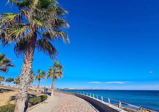Bungalow in Pilar de La Horadada