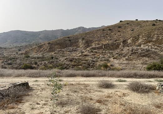 Country house in La Pinilla