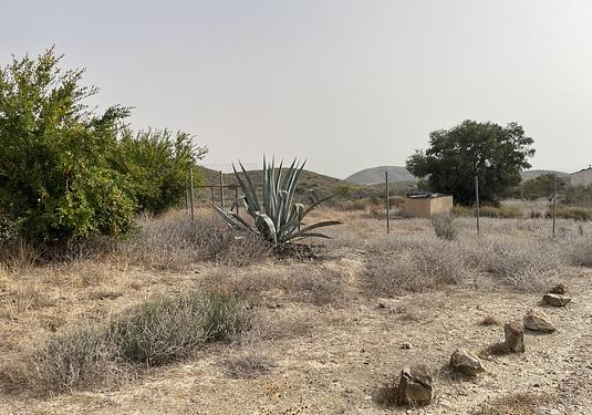 Country house in La Pinilla