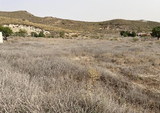 Country house in La Pinilla