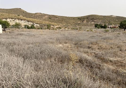 Country house in La Pinilla