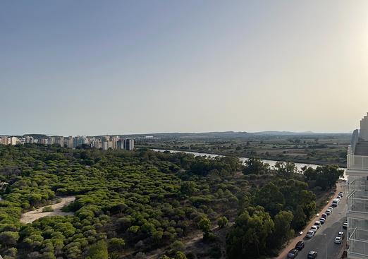 Apartment in Guardamar del Segura