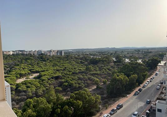 Apartment in Guardamar del Segura