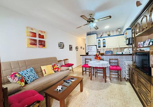 Apartment in La Mata