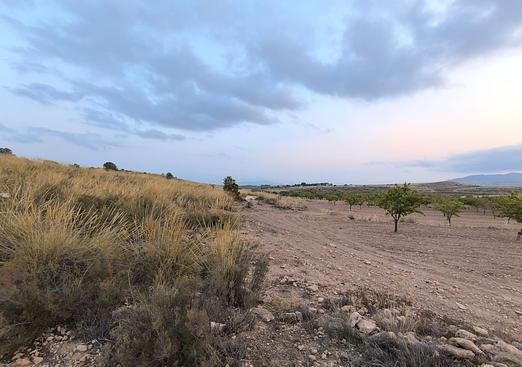 Land in Pinoso