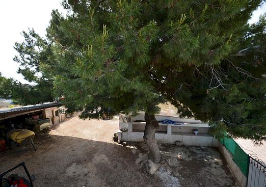 Villa in Guardamar del Segura