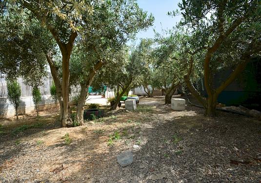 Villa in Guardamar del Segura