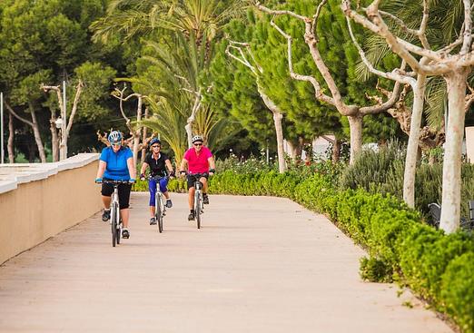 Apartment in Formentera del Segura