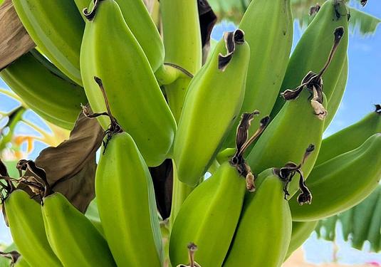 Villa in Los Urrutias