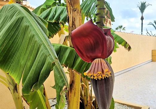 Villa in Los Urrutias