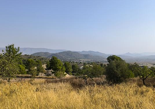 Other in Casas Del Señor