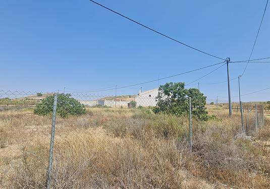 Land in Canada del Trigo