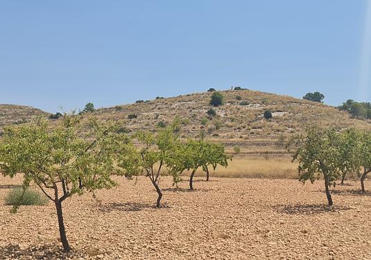 Land in Canada del Trigo