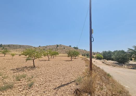 Land in Canada del Trigo