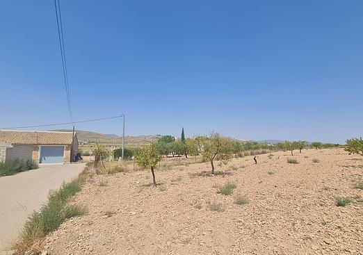 Land in Canada del Trigo