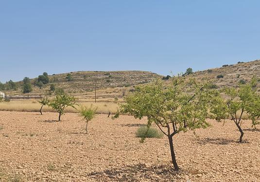 Land in Canada del Trigo