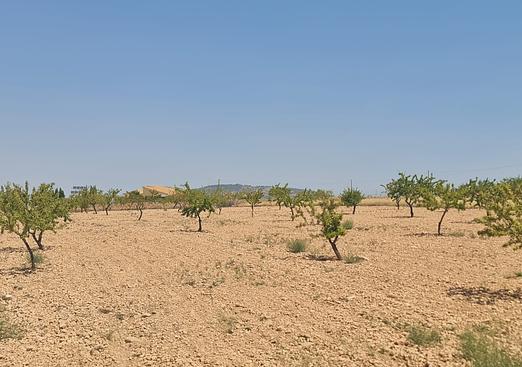 Land in Canada del Trigo
