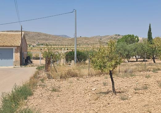 Land in Canada del Trigo