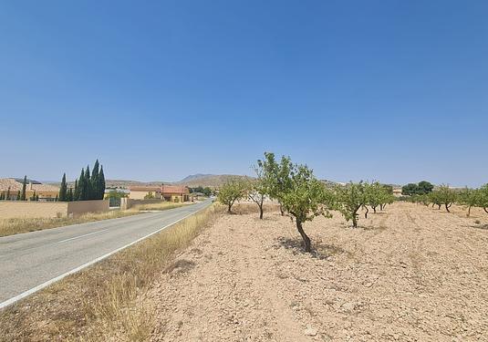 Land in Jumilla