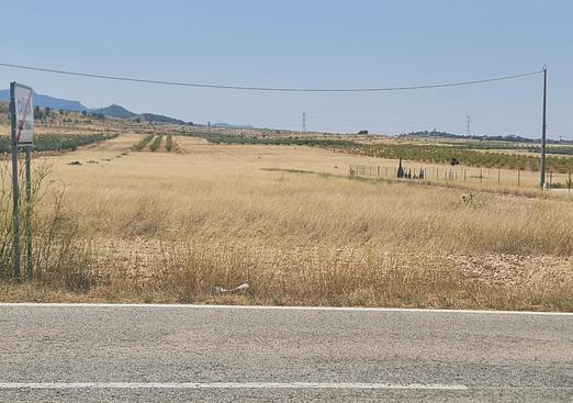 Land in Jumilla