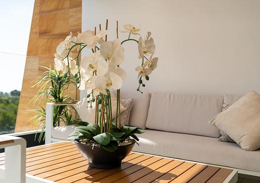 Apartment in Orihuela Costa