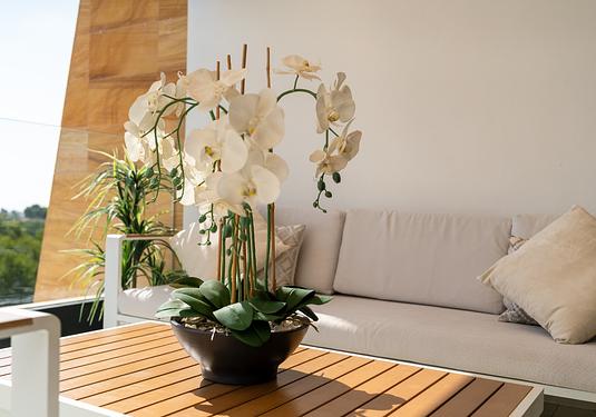 Apartment in Orihuela Costa