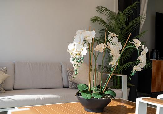 Apartment in Orihuela Costa