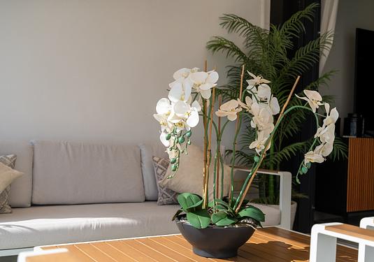 Apartment in Orihuela Costa