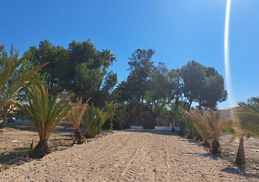 Country house in Orihuela