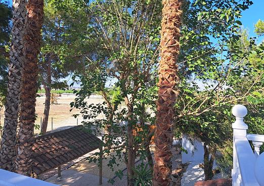 Country house in Orihuela