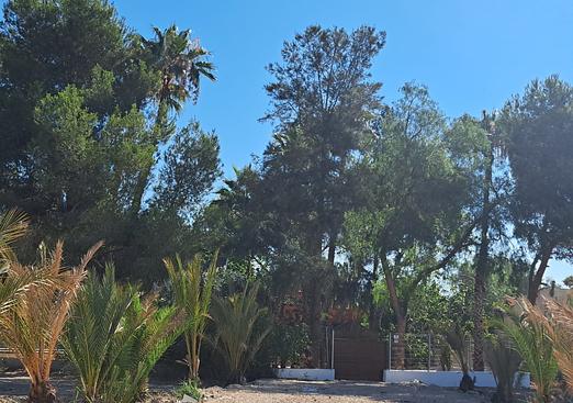 Country house in Orihuela