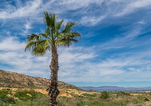 Apartment in Algorfa