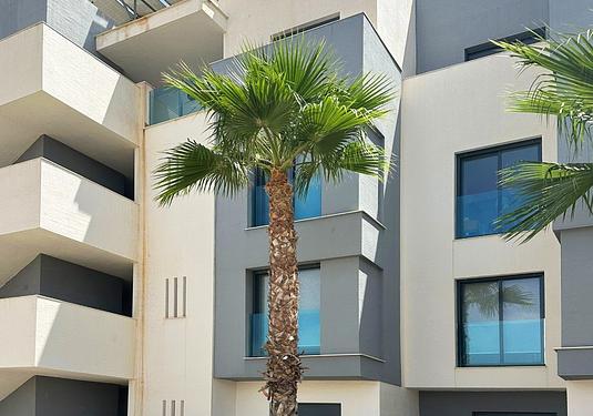 Apartment in Guardamar del Segura