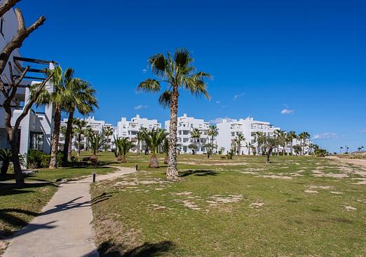 Apartment in Torre Pacheco