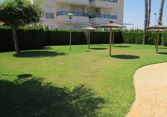 Apartment in Pilar de La Horadada