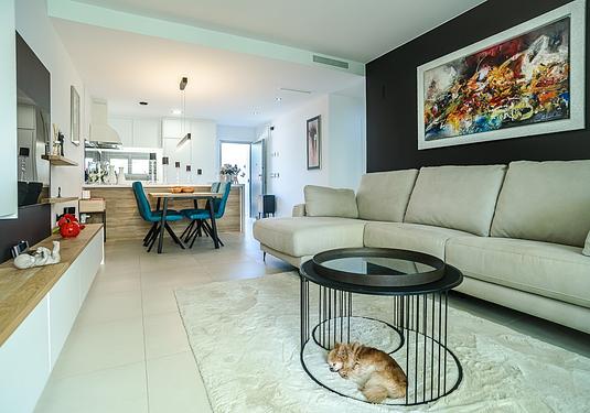 Apartment in Pilar de La Horadada