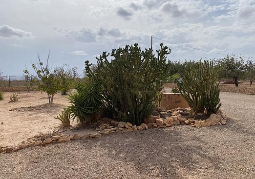 Town house in Fuente Alamo