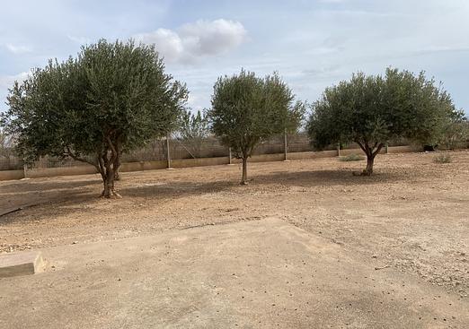 Town house in Fuente Alamo