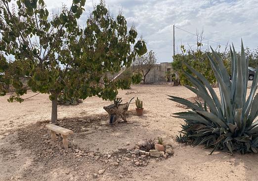 Town house in Fuente Alamo