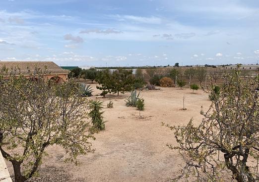 Town house in Fuente Alamo