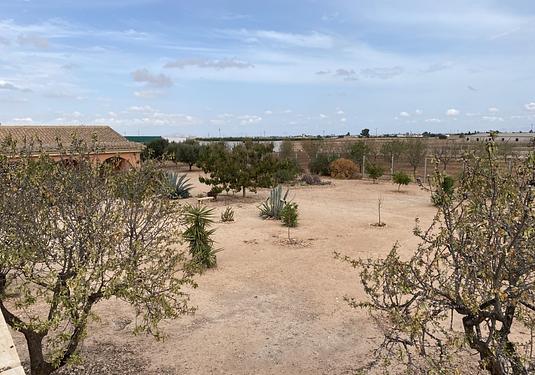 Town house in Fuente Alamo